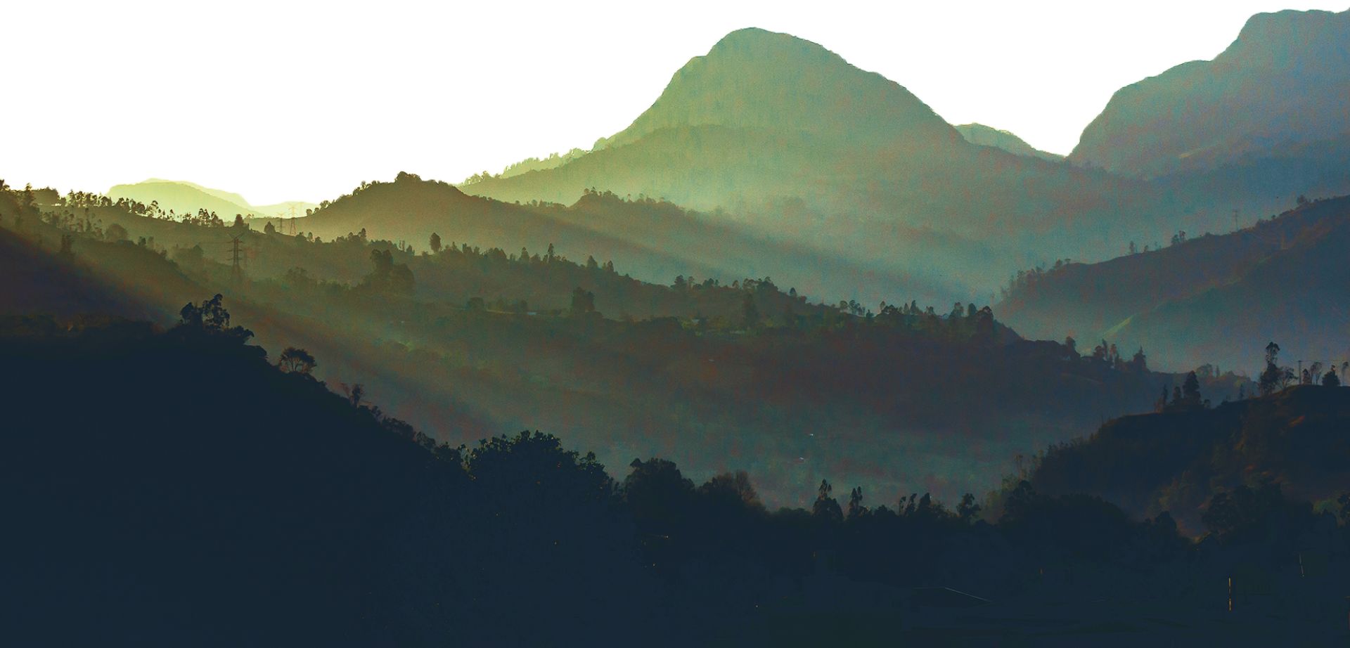 Wild Landscape