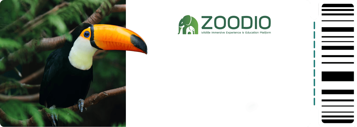 Zoo Ticket