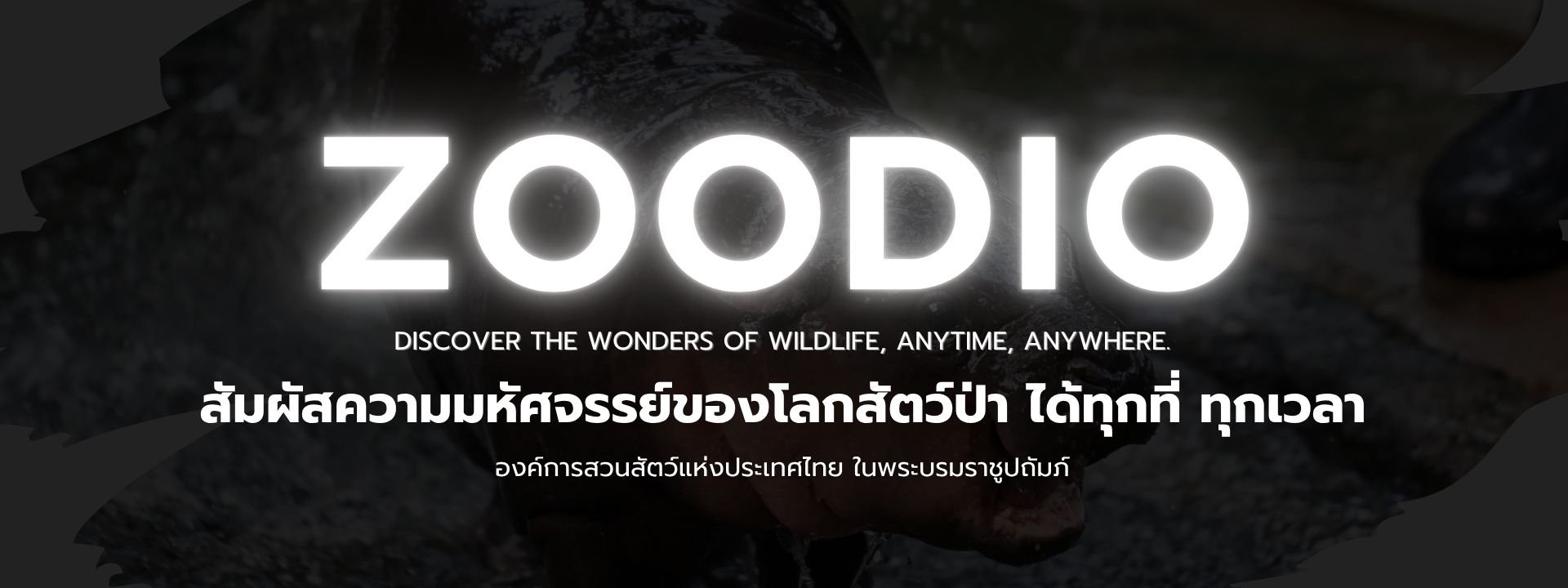 Banner-Main2